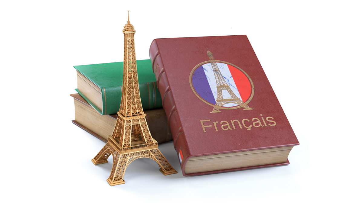 lectura aprender frances wanders idiomas